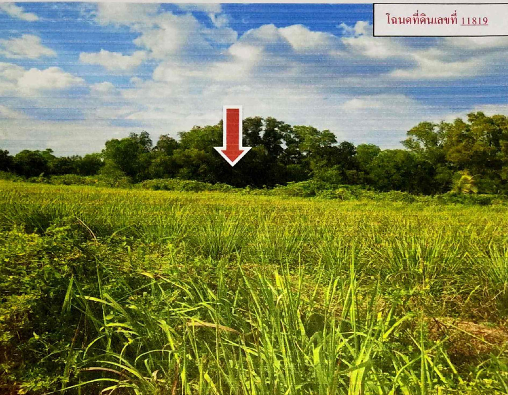 Residential land/lot Pathum Thani Nong Suea Bueng Ka Sam 60000