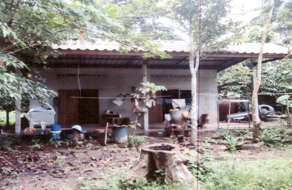 บ้านเดี่ยว สุราษฎร์ธานี พนม ต้นยวน 667240