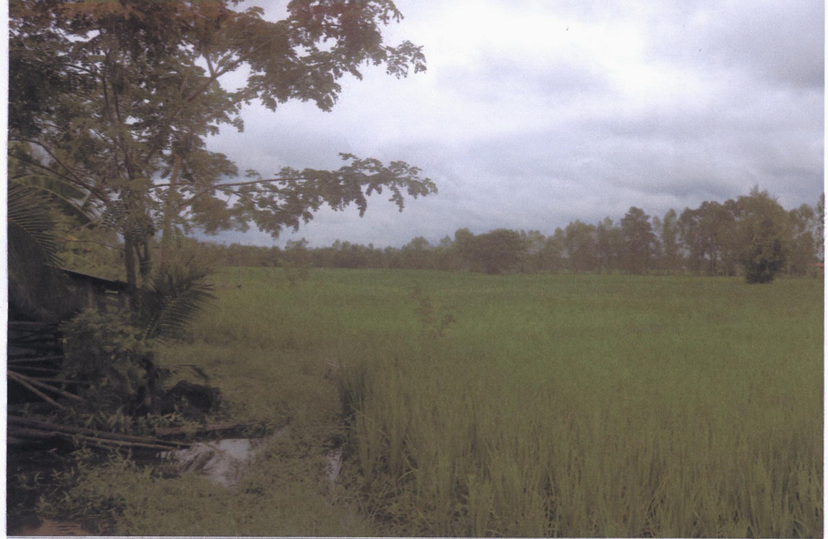 Residential land/lot Sakon Nakhon Sawang Daen Din Sawang Daen Din 328575