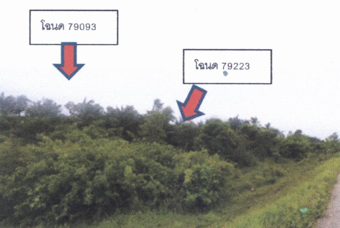 Residential land/lot Chumphon Mueang Chumphon Bang Luek 735830