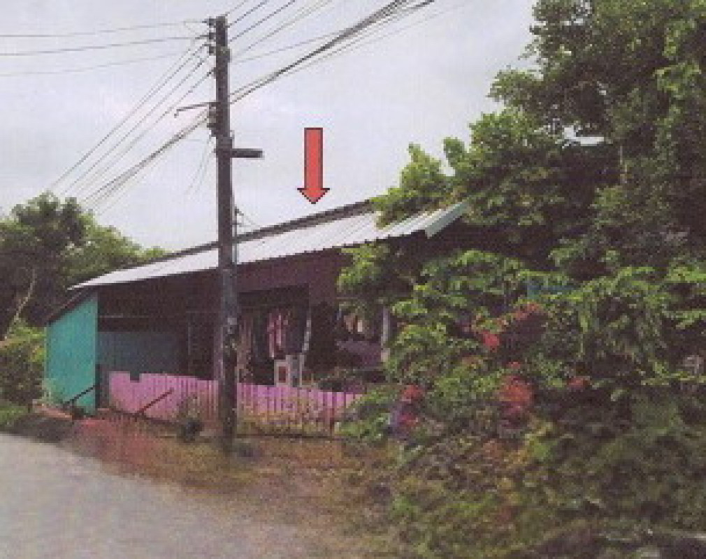 บ้านเดี่ยว ตรัง ปะเหลียน ท่าข้าม 774585
