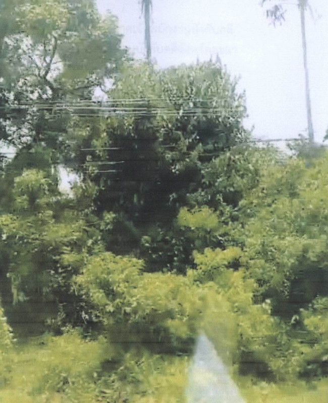 Residential land/lot Yala Raman Tha Thong 289980