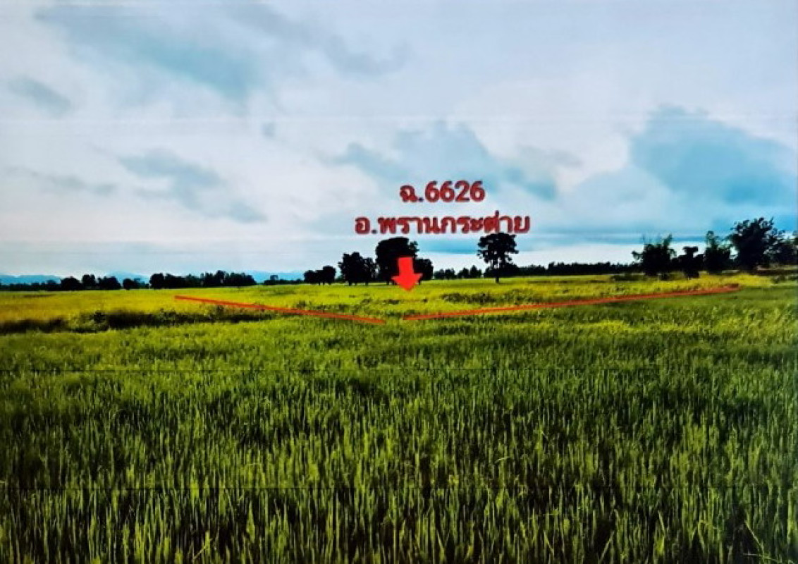 Residential land/lot Kamphaeng Phet Phran Kratai Huai Yang 155100