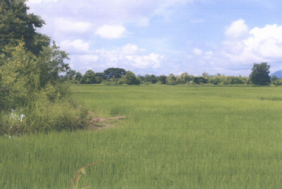 ที่ดินเปล่า แพร่ เมืองแพร่ ทุ่งกวาว 261600