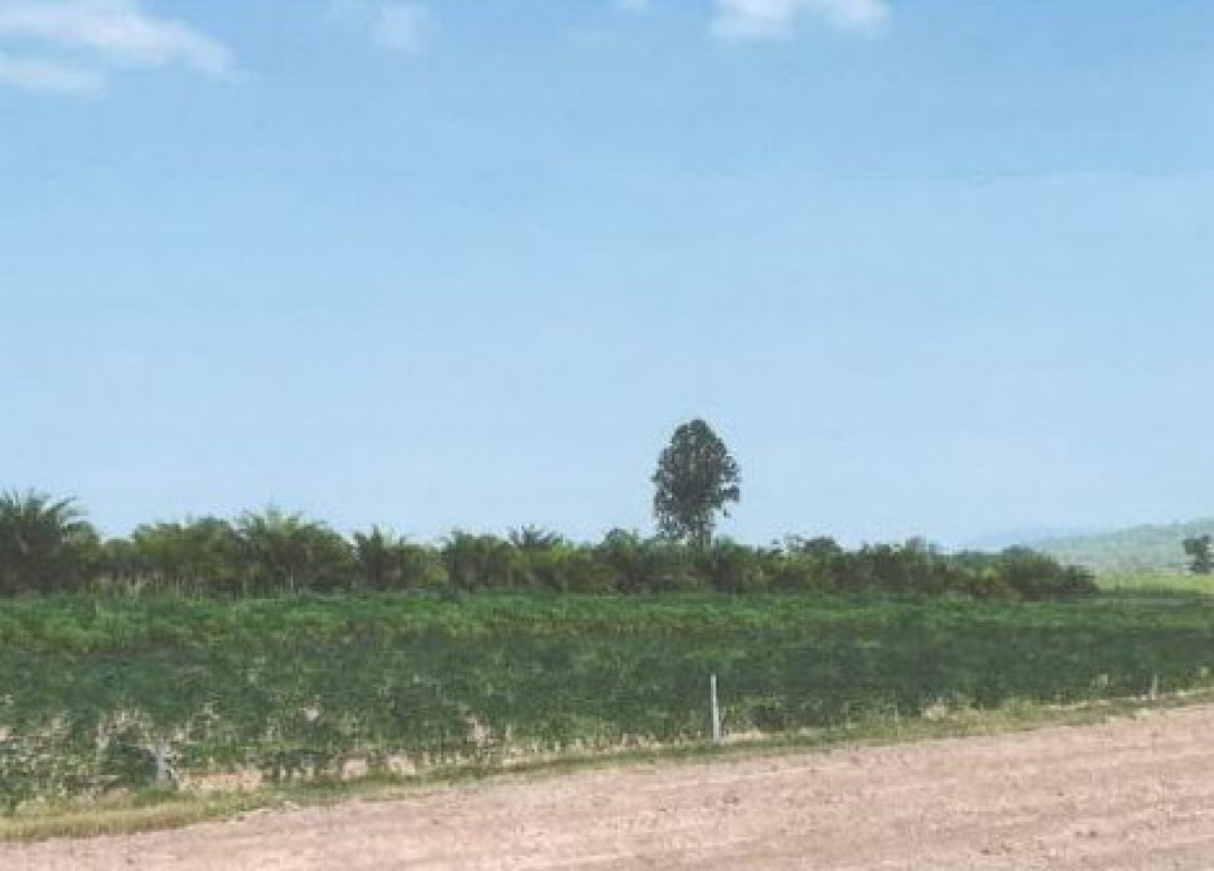 Residential land/lot Khon Kaen Kranuan Huai Yang 121200