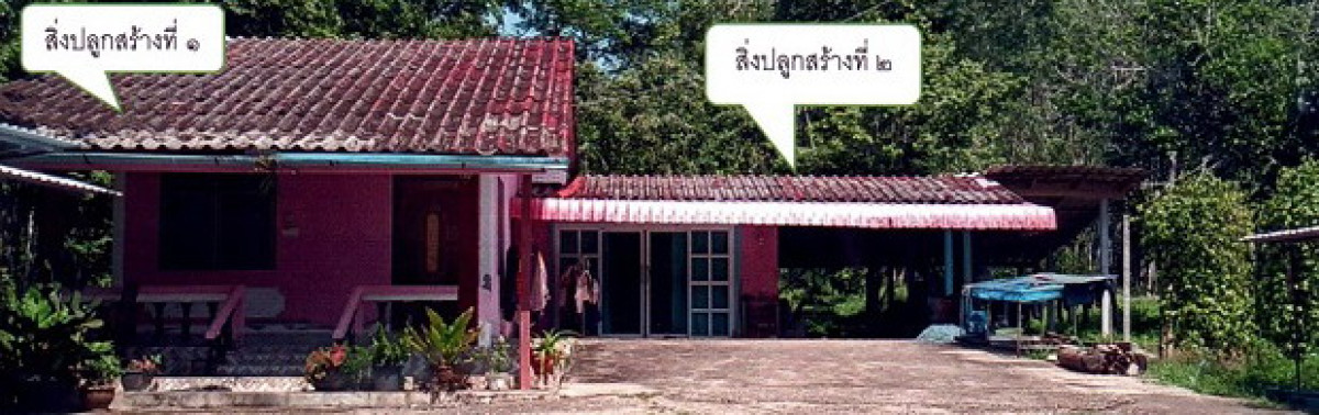 บ้านเดี่ยว ตรัง ปะเหลียน ท่าข้าม 1553640