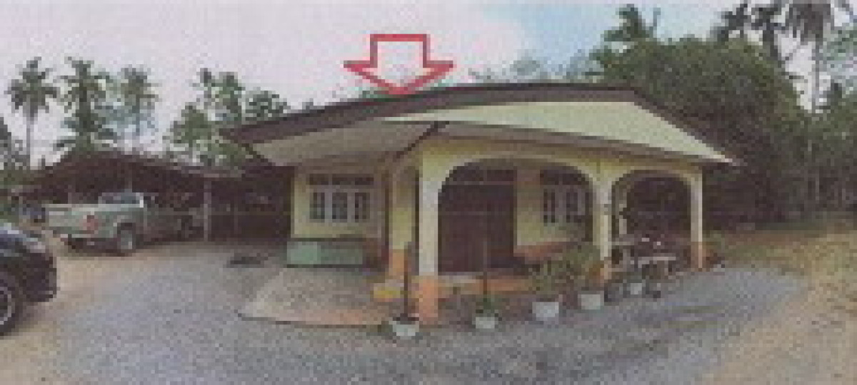 บ้านเดี่ยว ตรัง นาโยง โคกสะบ้า 2517735