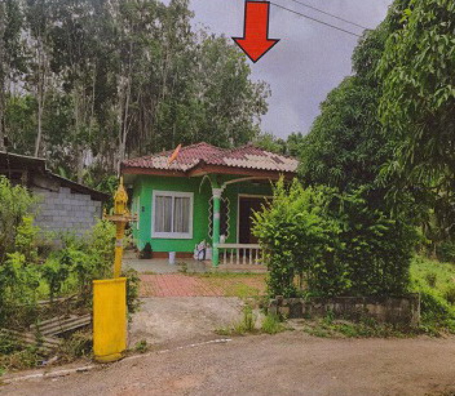 บ้านเดี่ยว ตรัง ย่านตาขาว ทุ่งกระบือ 649760