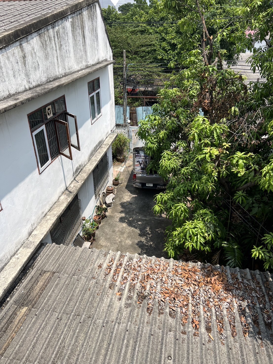 บ้านเดี่ยว กรุงเทพมหานคร คลองเตย พระโขนง 56000000