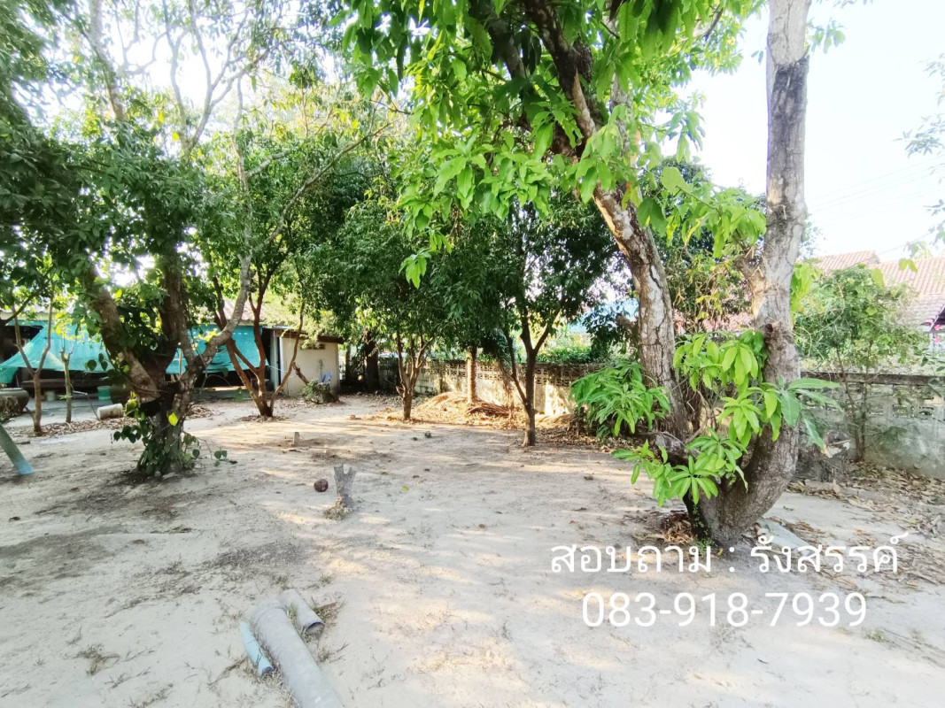 บ้านเดี่ยว ปราจีนบุรี เมืองปราจีนบุรี โคกไม้ลาย 3500000