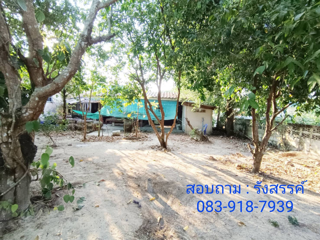 บ้านเดี่ยว ปราจีนบุรี เมืองปราจีนบุรี โคกไม้ลาย 3500000