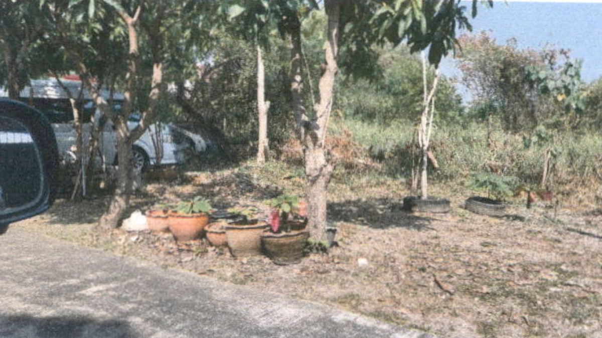 Residential land/lot Nakhon Pathom Sam Phran Tha Talat 2440000