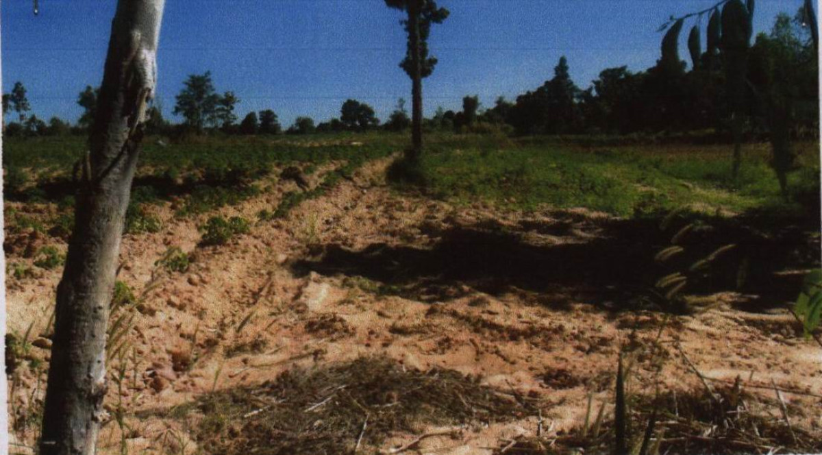 Residential land/lot Ubon Ratchathani Khemarat Nong Nok Tha 2664900