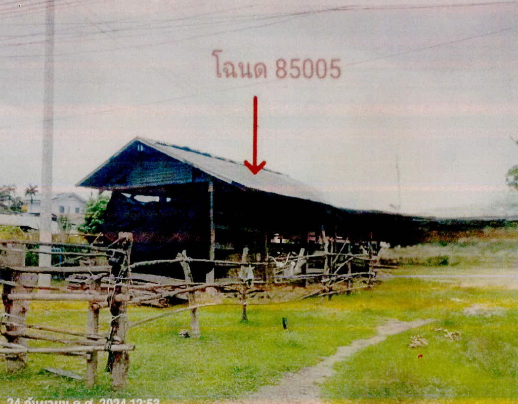 บ้านเดี่ยว สุรินทร์ ศีขรภูมิ หนองเหล็ก 48010