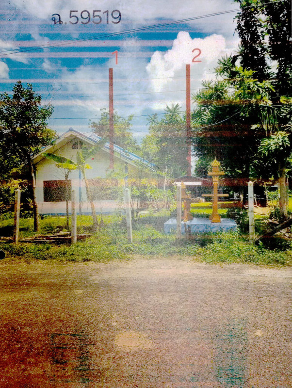 Single house Surin Sikhoraphum Yang 496330