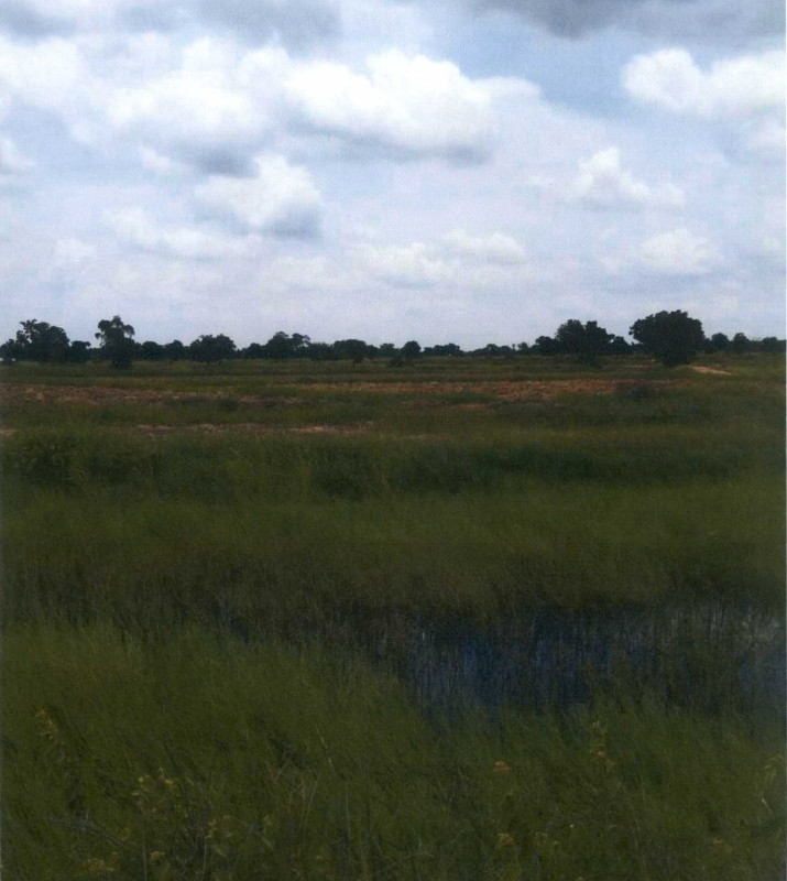 Residential land/lot Buri Ram Nang Rong Lam Sai Yong 439500