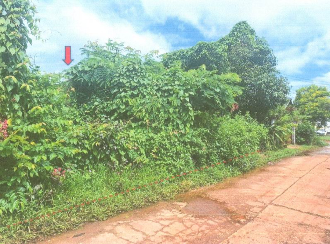Residential land/lot Sakon Nakhon Mueang Sakon Nakhon Dong Mafai 15520