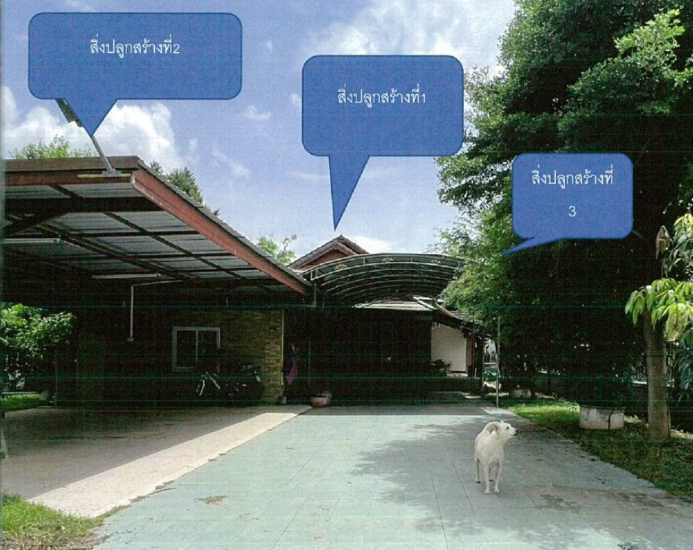บ้านเดี่ยว สกลนคร เมืองสกลนคร ห้วยยาง 1198840