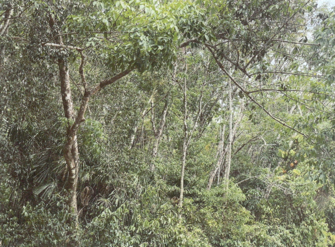 Residential land/lot Yala Raman A Song 27300