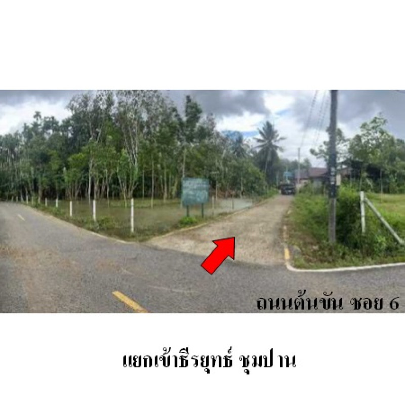 บ้านเดี่ยว สตูล เมืองสตูล ควนขัน 1053500