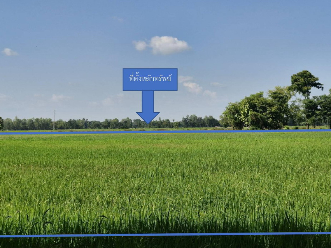 Residential land/lot Sukhothai Kong Krailat Krai Klang 430560