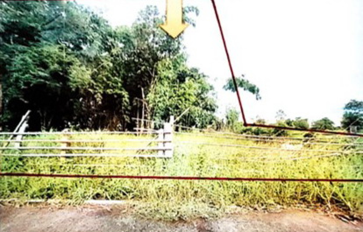 ที่ดินเปล่า นครพนม ปลาปาก หนองฮี 94650