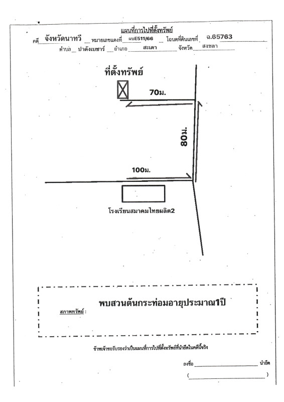 Residential land/lot Songkhla Sadao Pa Dangbesa 156600