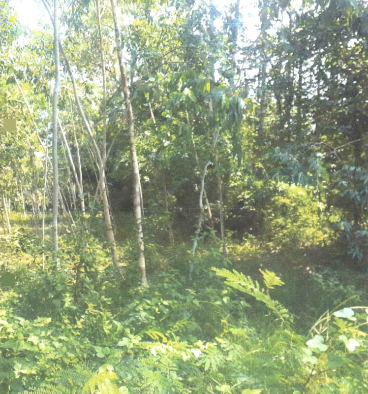 Residential land/lot Uttaradit Tron Nam Ang 133500