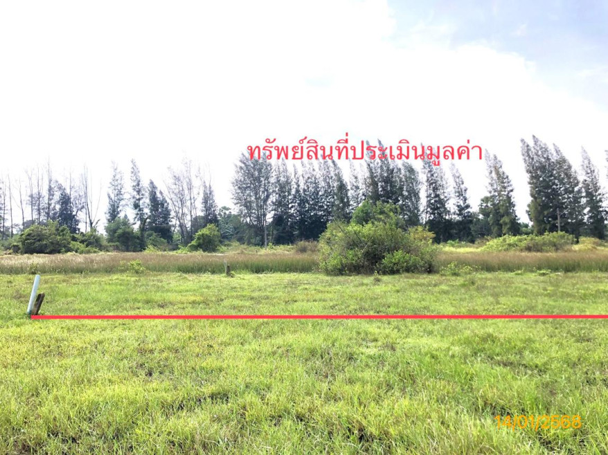 Residential land/lot Surat Thani Kanchanadit Thung Kong 304000