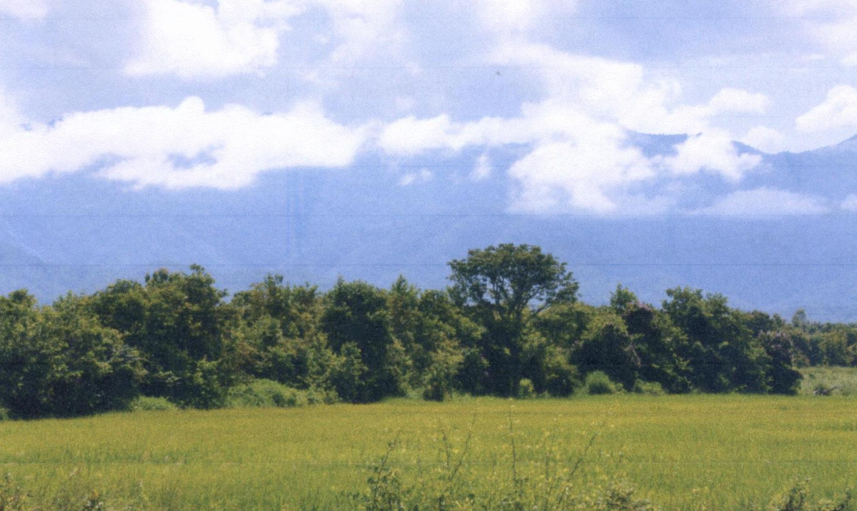 Residential land/lot Phrae Mueang Phrae Rong Fong 411000