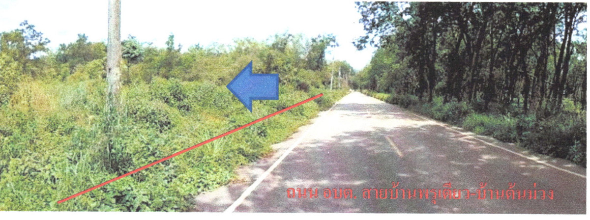 Residential land/lot Songkhla Sadao Sadao 8000000