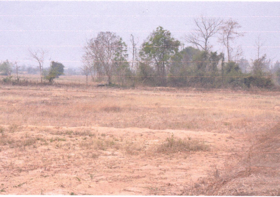 Residential land/lot Phrae Mueang Phrae Rong Fong 186000