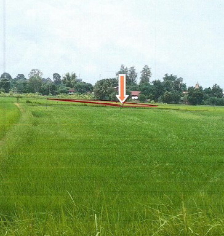 ที่ดินเปล่า กาฬสินธุ์ ฆ้องชัย เหล่ากลาง 180000