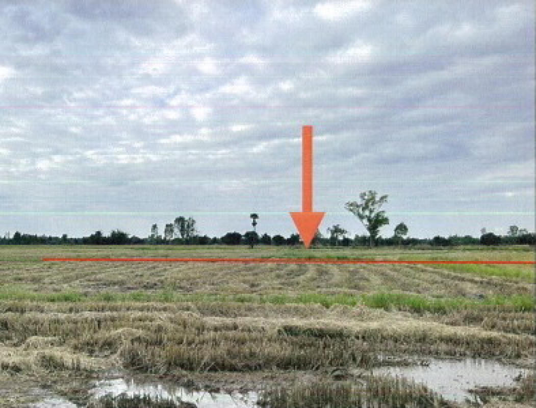 Residential land/lot Kalasin Yang Talat Bua Ban 306000