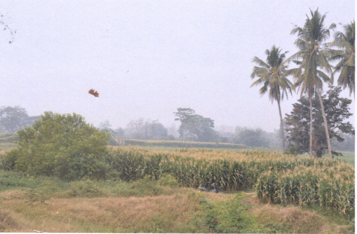 Residential land/lot Phrae Mueang Phrae Thung Kwao 374400