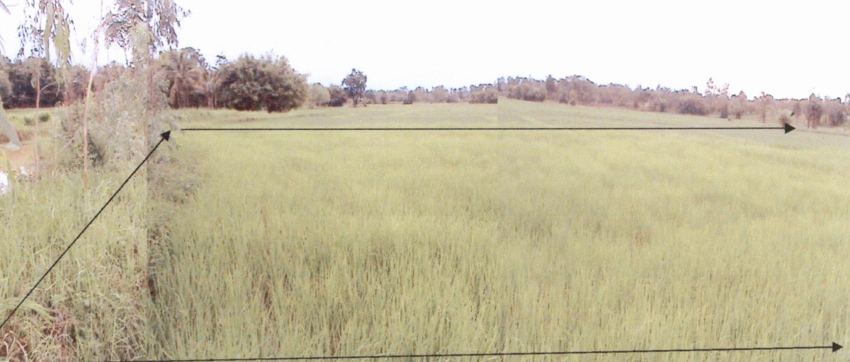Residential land/lot Nong Bua Lam Phu Mueang Nong Bua Lam Phu Nong Phai Sun 1333600