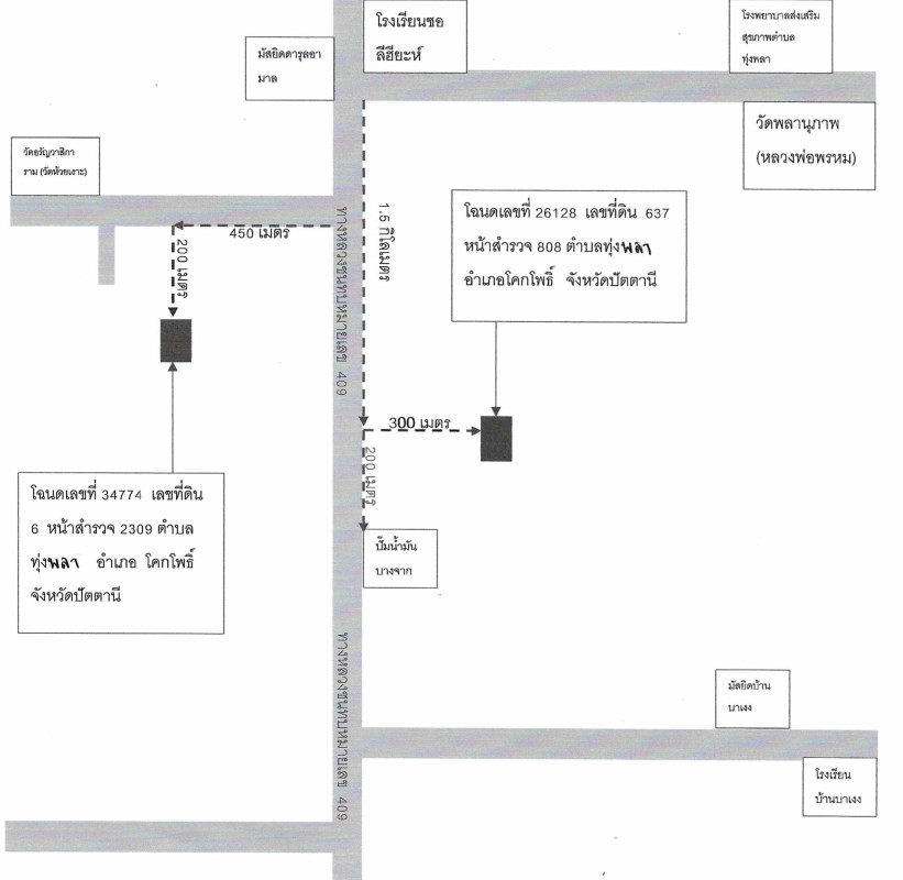 ที่ดินเปล่า ปัตตานี โคกโพธิ์ ทุ่งพลา 62920