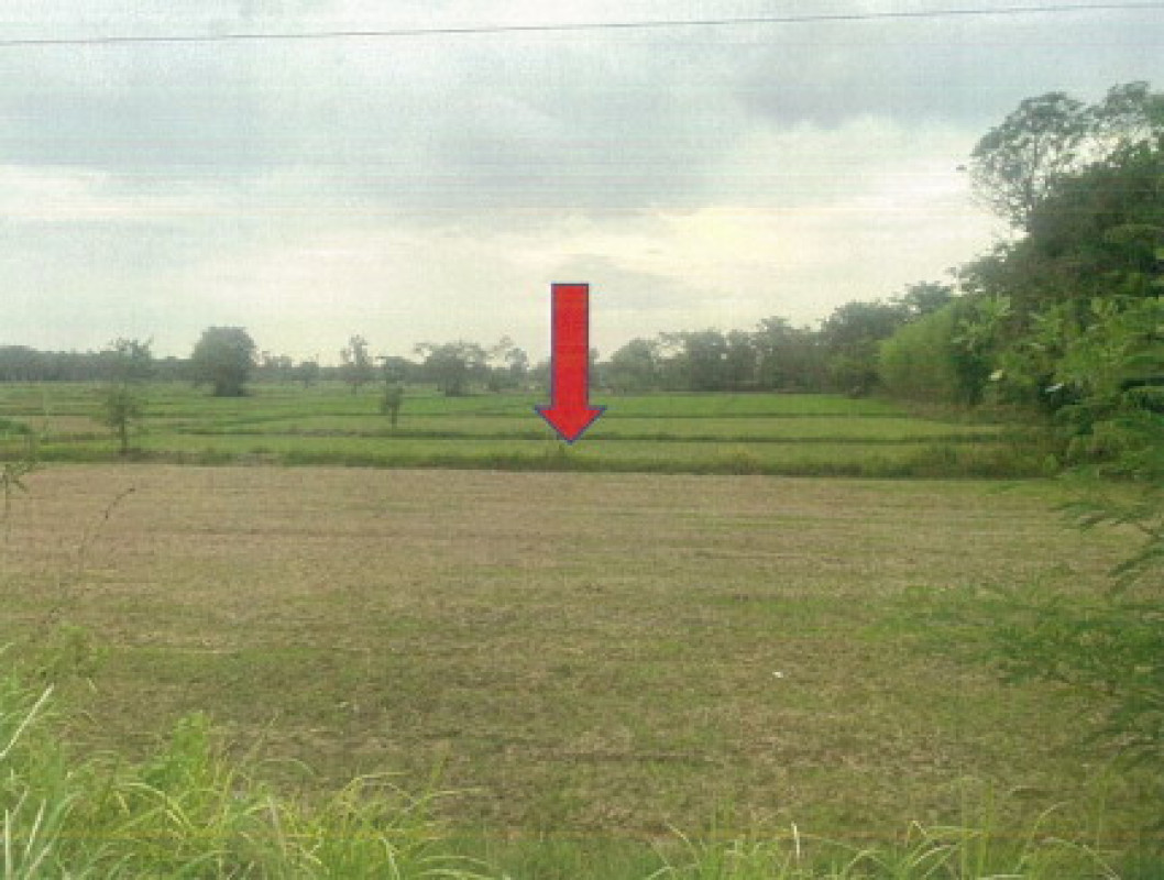 ที่ดินเปล่า อุบลราชธานี สว่างวีระวงศ์ แก่งโดม 223614