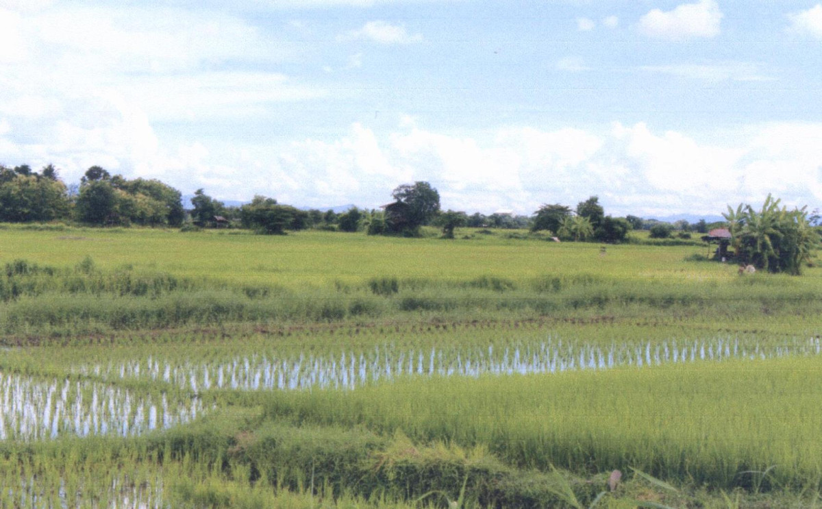ที่ดินเปล่า แพร่ เมืองแพร่ แม่ยม 192000
