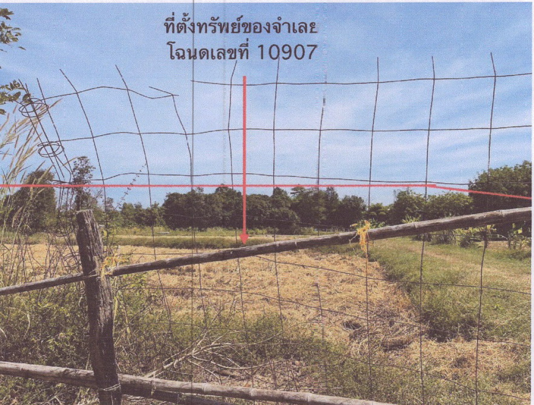 ที่ดินเปล่า อุบลราชธานี ดอนมดแดง คำไฮใหญ่ 1224236