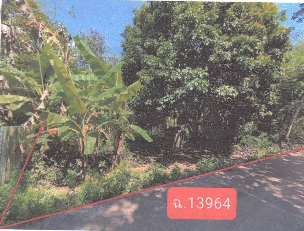 Residential land/lot Lampang Ngao Mae Tip 77350