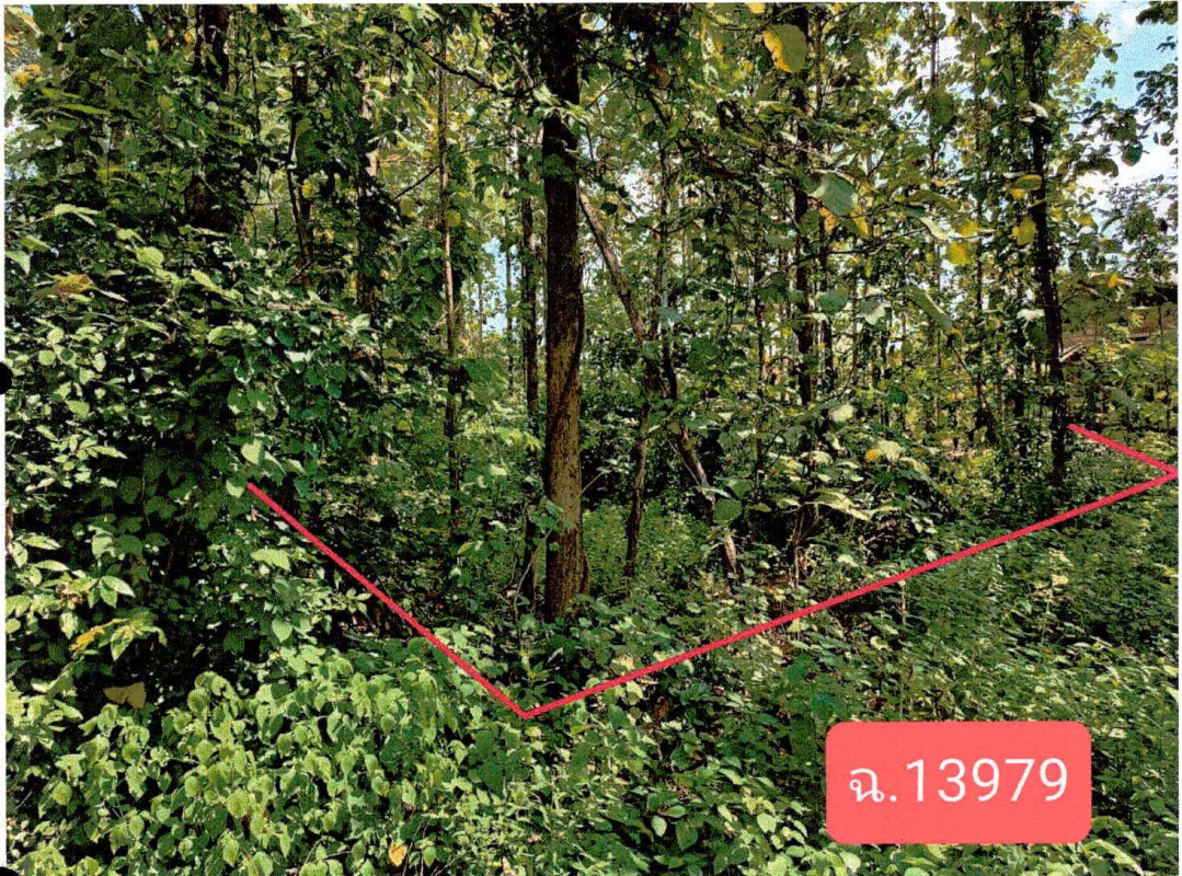 Residential land/lot Lampang Ngao Mae Tip 30100