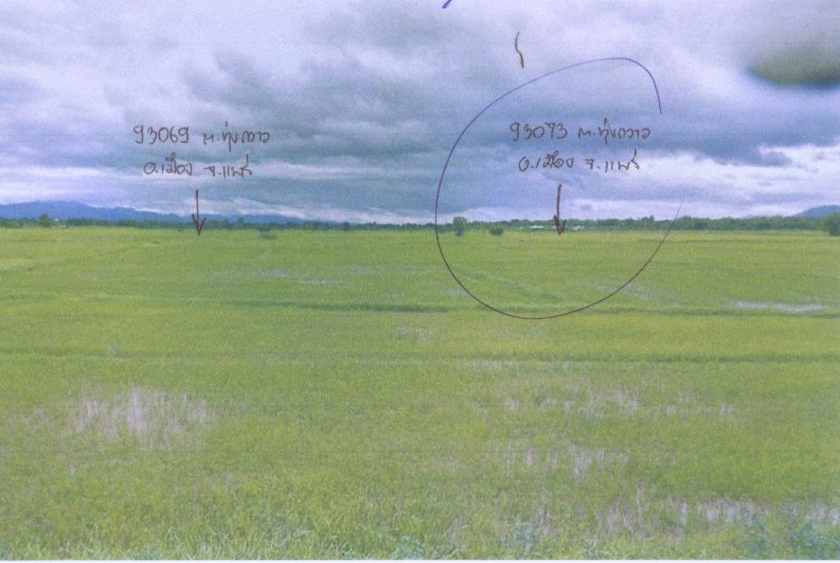 ที่ดินเปล่า แพร่ เมืองแพร่ ทุ่งกวาว 79200