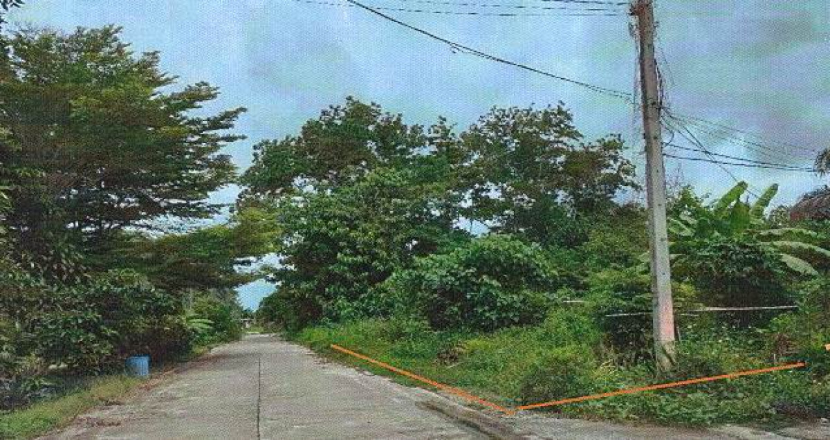 Residential land/lot Krabi Lam Thap Lam Thap 49500