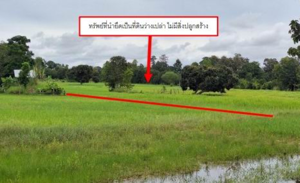 ที่ดินเปล่า กาฬสินธุ์ นาคู โนนนาจาง 251980