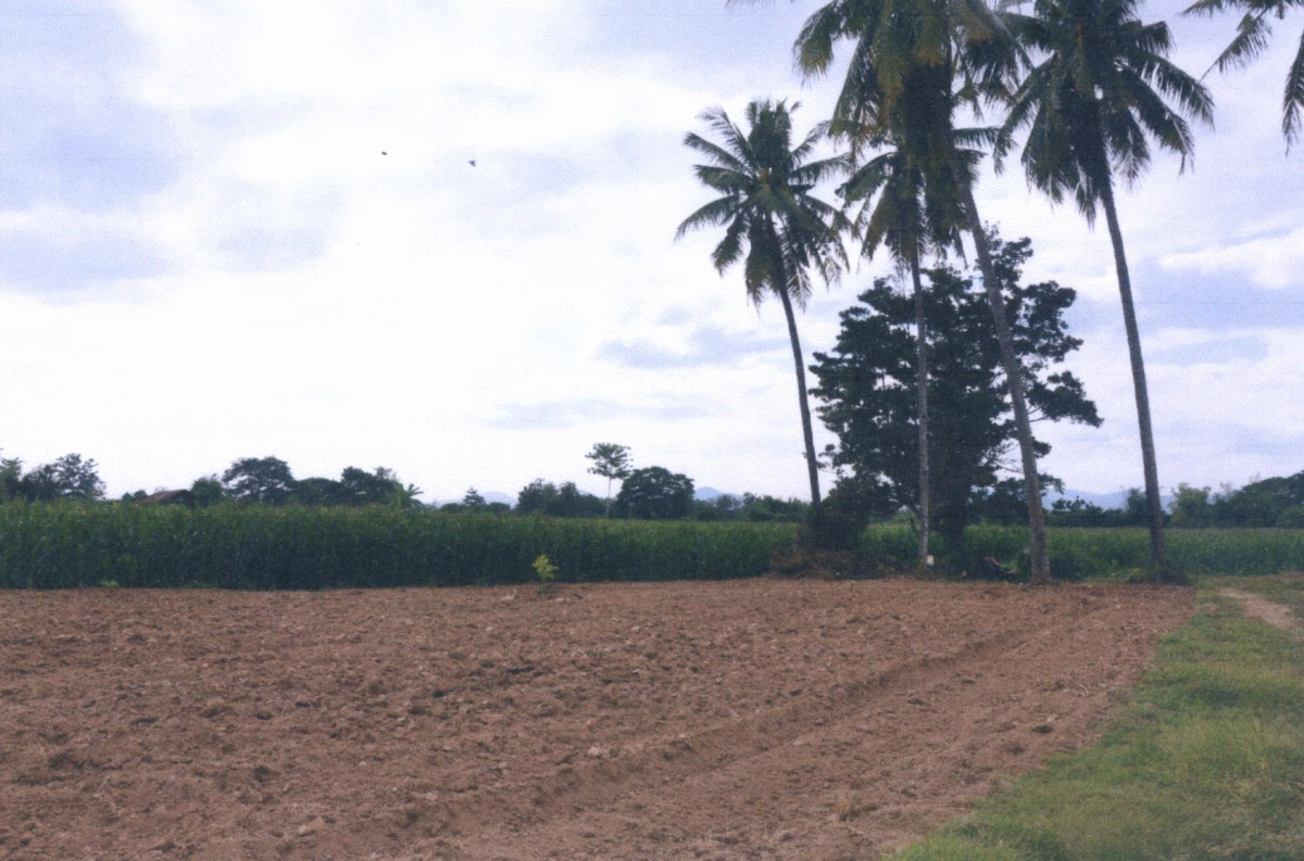 Residential land/lot Phrae Mueang Phrae Thung Kwao 105600