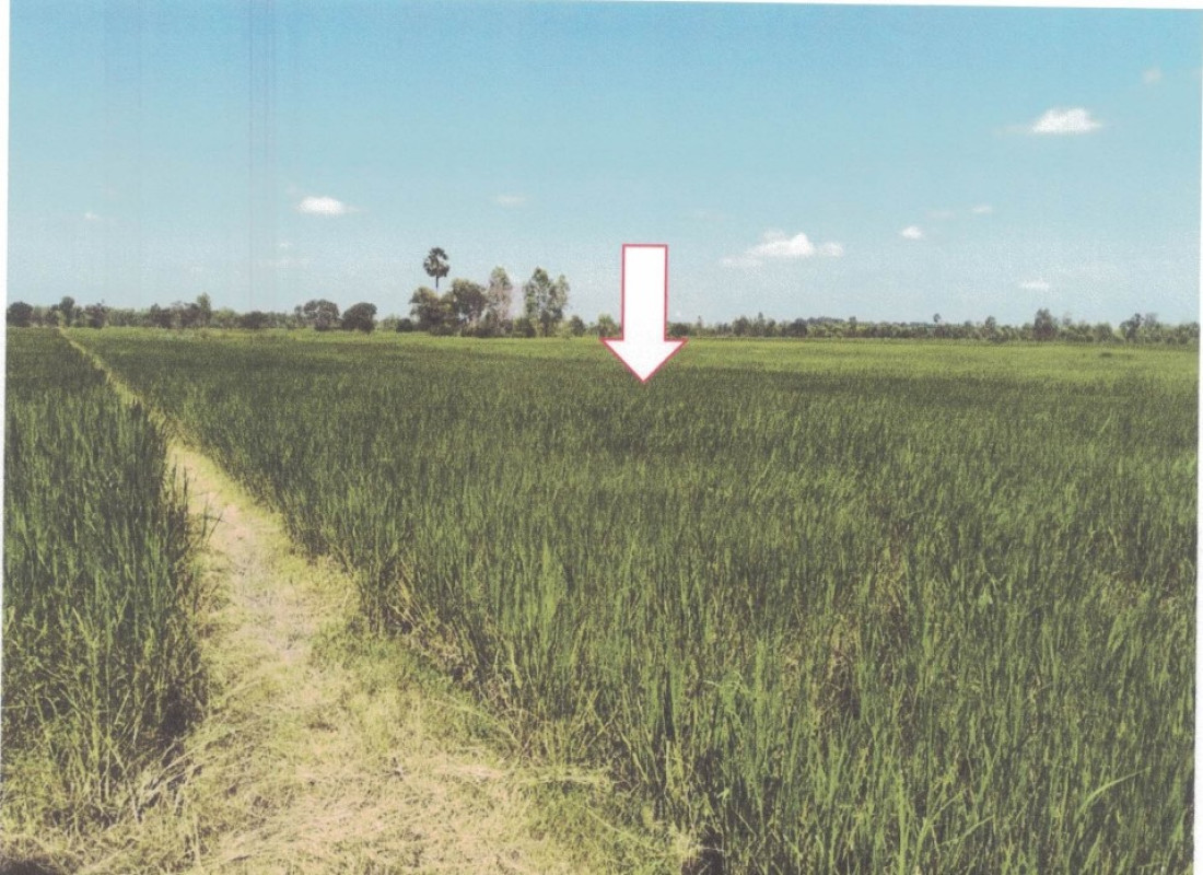 Residential land/lot Ubon Ratchathani Khueang Nai Klang Yai 674261