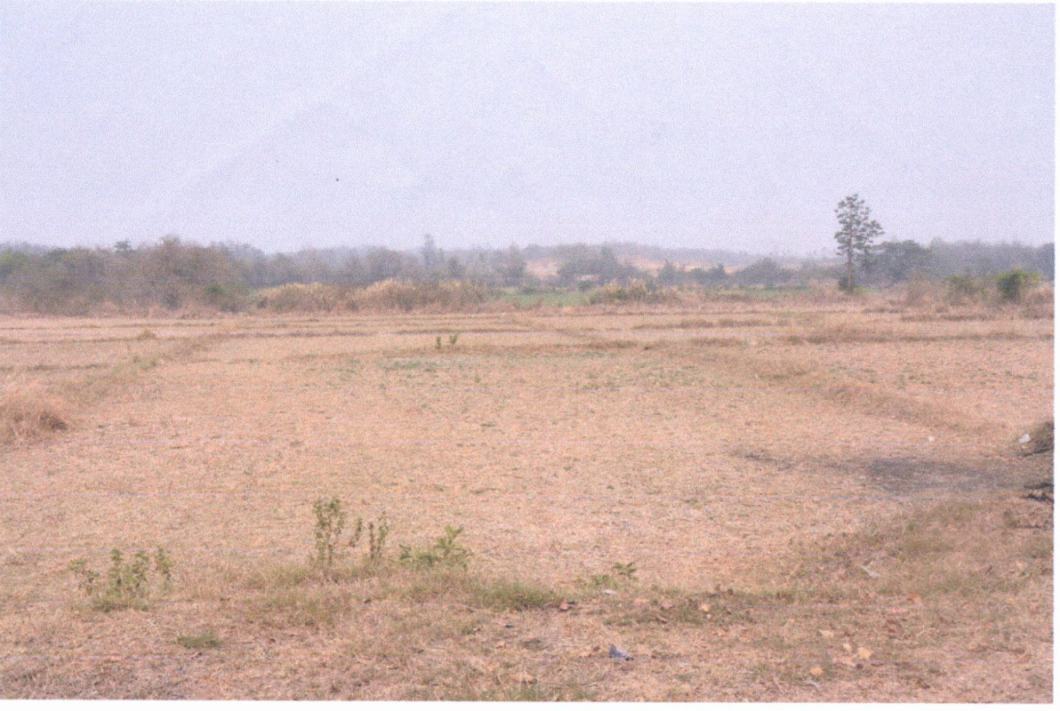 Residential land/lot Phrae Mueang Phrae Rong Fong 44370