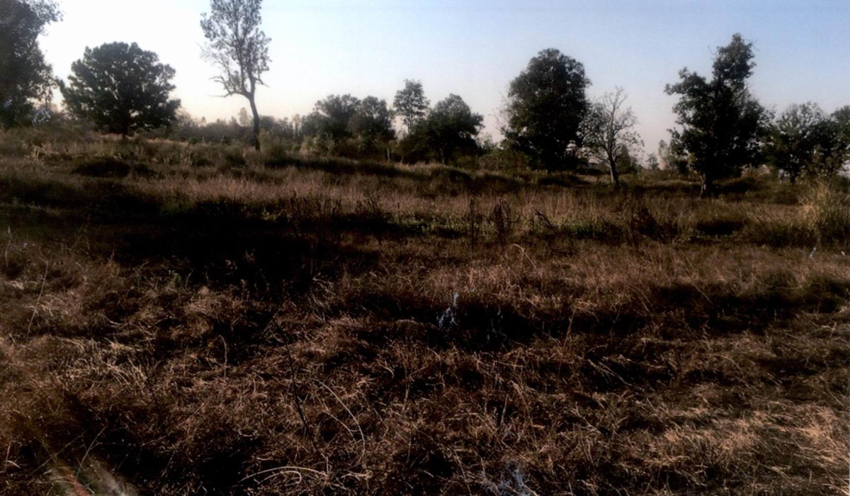 Residential land/lot Nong Bua Lam Phu Mueang Nong Bua Lam Phu Pho Chai 120000