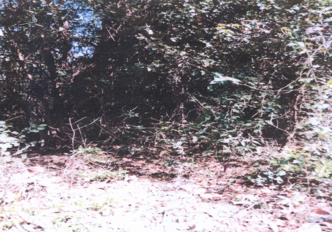 ที่ดินเปล่า อุบลราชธานี เมืองอุบลราชธานี หนองขอน 56070